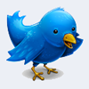 Twitter Bird